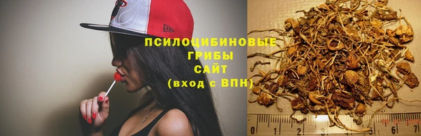 mix Абаза