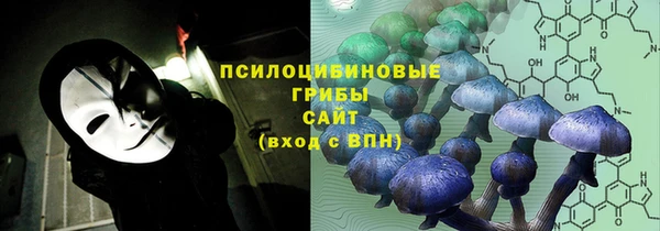 дживик Абинск
