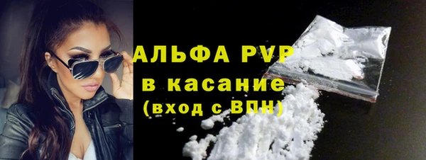 крисы Сатка
