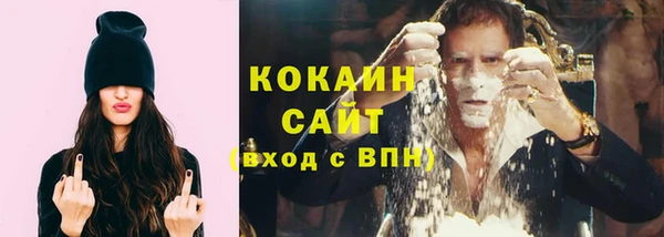 крисы Сатка